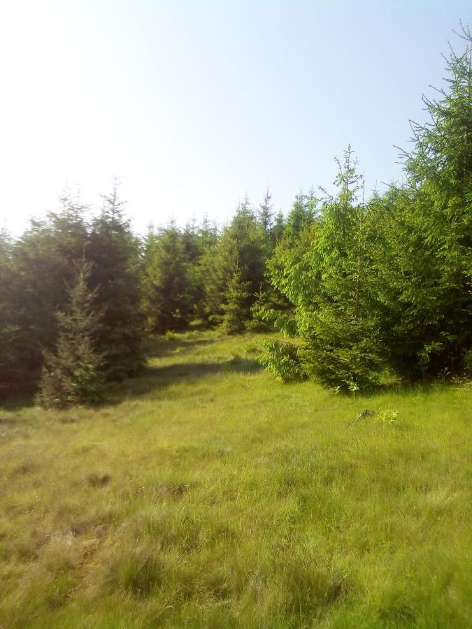 Sadyba U Vani Volovets Exterior photo